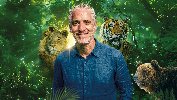 Gordon Buchanan - Lions and Tigers and Bears at Assembly Rooms
